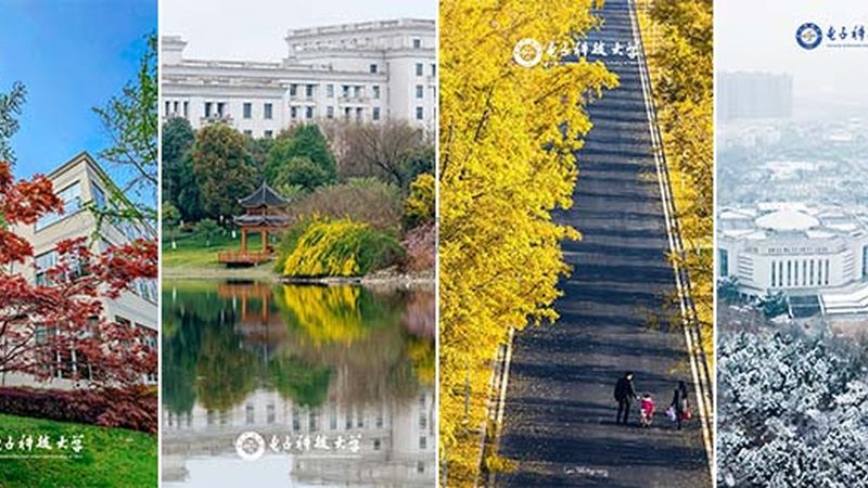 电子配件批发价格通常由以下几个部分构成：