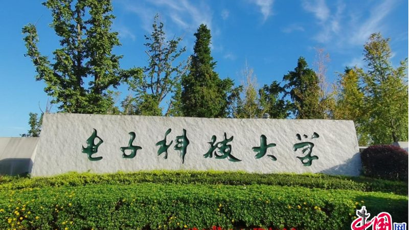 汽车连接器标准规范：揭秘汽车连接器行业的“语言密码